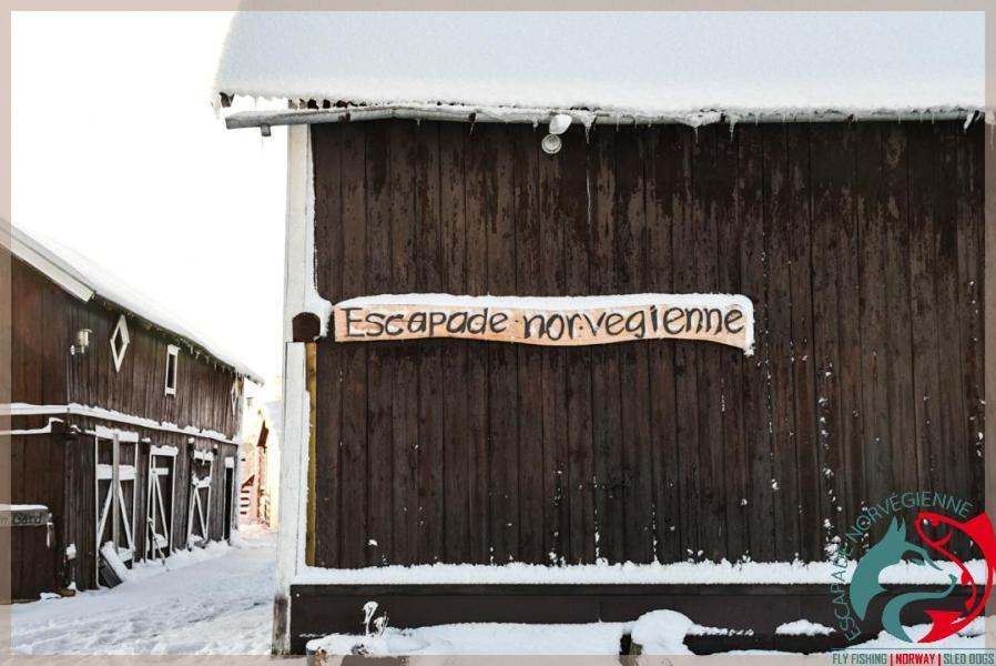 Apartamento Escapade Norvégienne Tolga Exterior foto