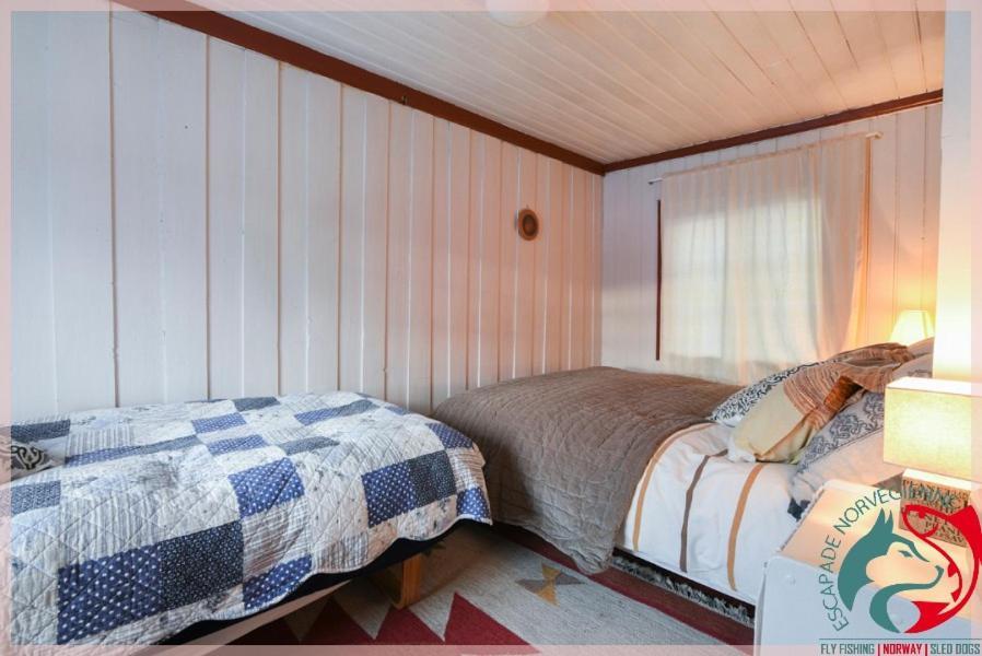 Apartamento Escapade Norvégienne Tolga Exterior foto