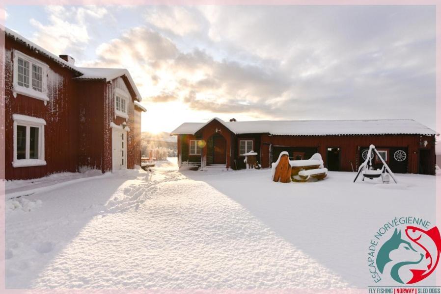 Apartamento Escapade Norvégienne Tolga Exterior foto